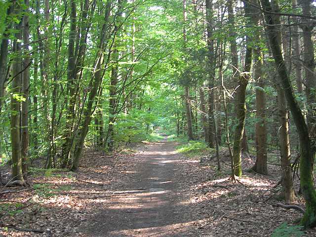 Primizie estive nel Jura francese